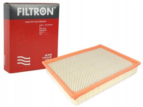 Filtron AP 029/1 Filtr powietrza