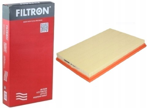 Filtron AP 030/1 Filtr powietrza