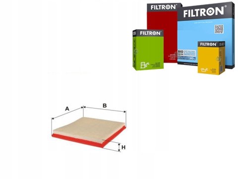 Filtron AP 030/2 Filtr powietrza