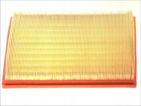 Filtron AP 030/2 Filtr powietrza