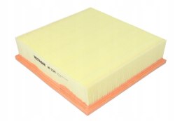 Filtron AP 034 Filtr powietrza