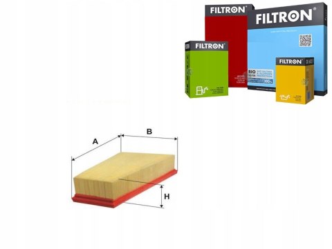 Filtron AP 035/5 Filtr powietrza