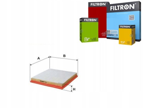Filtron AP 051/7 Filtr powietrza
