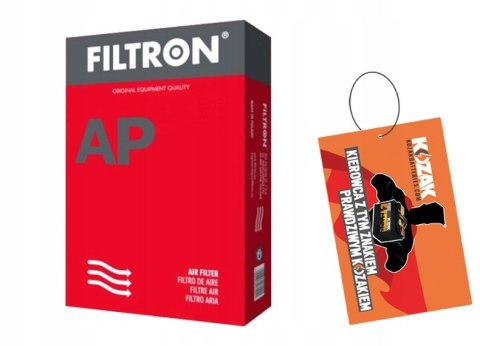 Filtron AE 348/3 Filtr powietrza