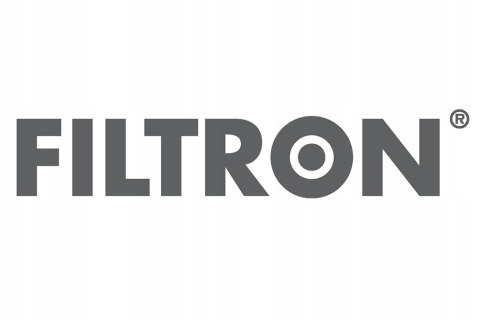 Filtron AM 422 Filtr powietrza