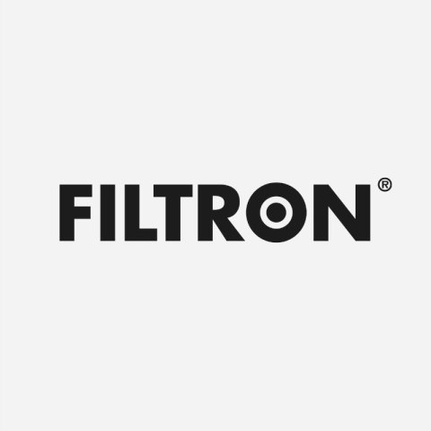 Filtron AM 455/2 Filtr powietrza
