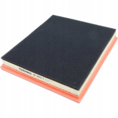 Filtron AP 003/7 Filtr powietrza