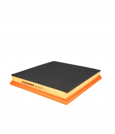 Filtron AP 003/7 Filtr powietrza