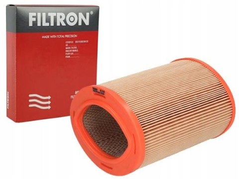 Filtron AE 311/1 Filtr powietrza