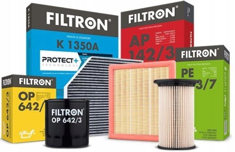 Filtron AM 407/1 Filtr powietrza