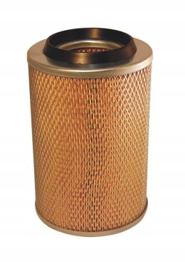 Filtron AM 417 Filtr powietrza