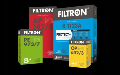 Filtron AM 432 Filtr powietrza