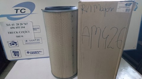 Filtron AM401/2 filtr powietrza