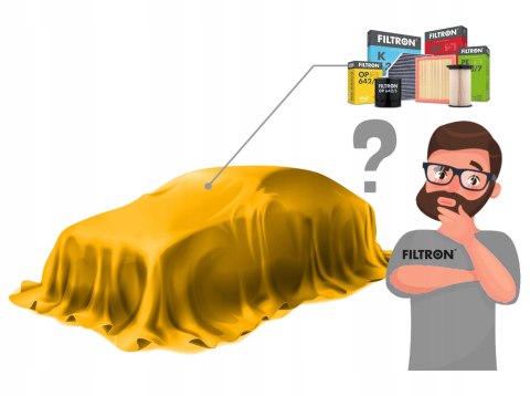 Filtron AM447/3 filtr powietrza