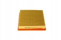 Filtron AP 003/10 Filtr powietrza