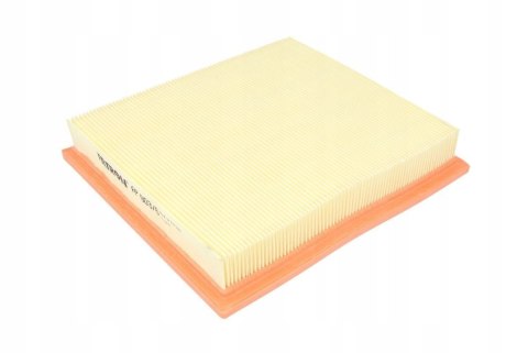 Filtron AP 003/6 Filtr powietrza
