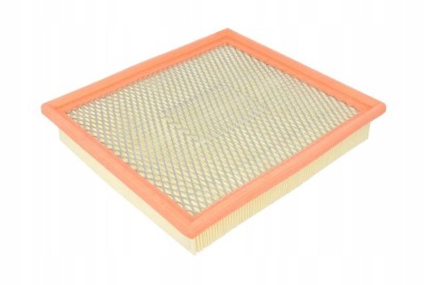 Filtron AP 003/6 Filtr powietrza