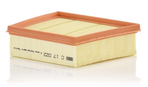 Mann-Filter C 17 022 Filtr powietrza