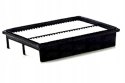 Mann-Filter C 2841 Filtr powietrza