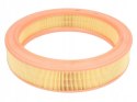 Mann-Filter C 2873/1 Filtr powietrza