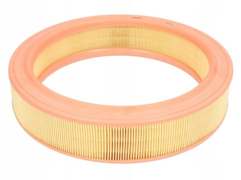 Mann-Filter C 2873/1 Filtr powietrza