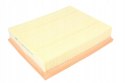 Mann-Filter C 29 029 Filtr powietrza