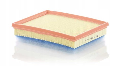 Mann-Filter C 24 036 Filtr powietrza