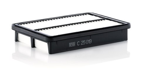 Mann-Filter C 25 019 Filtr powietrza