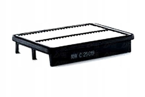 Mann-Filter C 25 019 Filtr powietrza