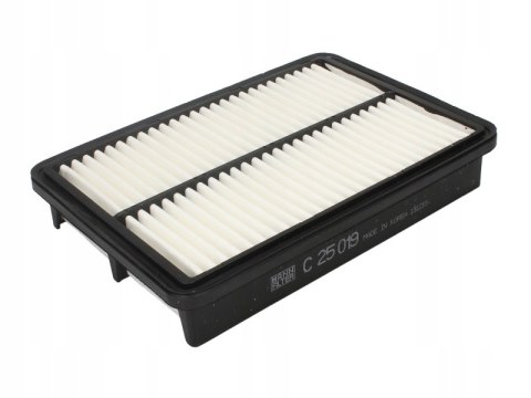 Mann-Filter C 25 019 Filtr powietrza