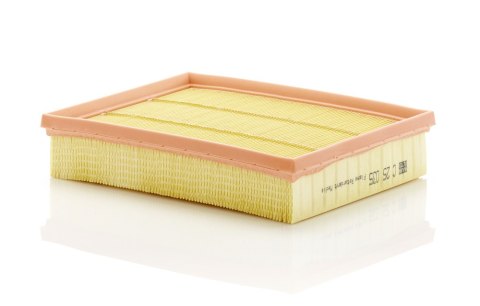 Mann-Filter C 25 035 Filtr powietrza