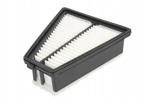 Mann-Filter C 21 025 Filtr powietrza