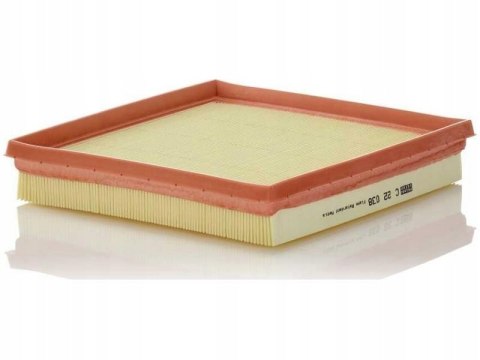 Mann-Filter C 22 038 Filtr powietrza