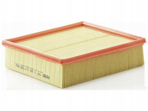 Mann-Filter C 22 117 Filtr powietrza