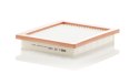 Mann-Filter C 20 029 Filtr powietrza