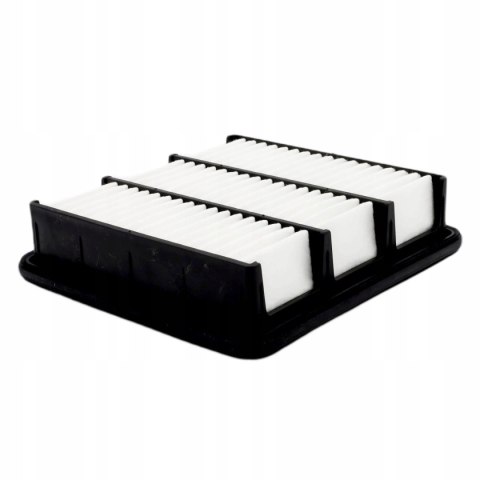 Mann-Filter C 2029 Filtr powietrza