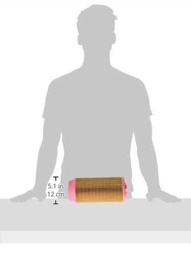 Mann-Filter C 11 100 Filtr powietrza