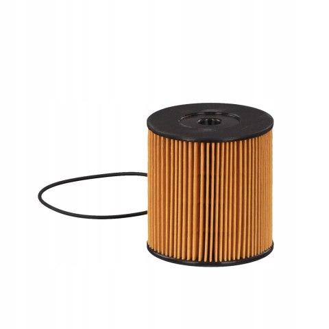 Febi Bilstein 39831 Filtr paliwa