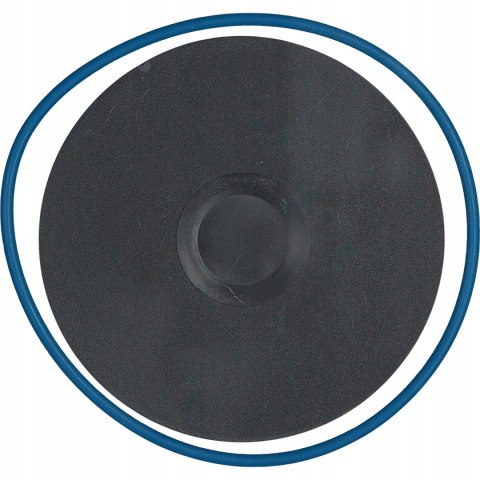 Febi Bilstein 104809 Filtr paliwa