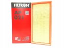 FILTRON AP 021 - Filtr powietrza