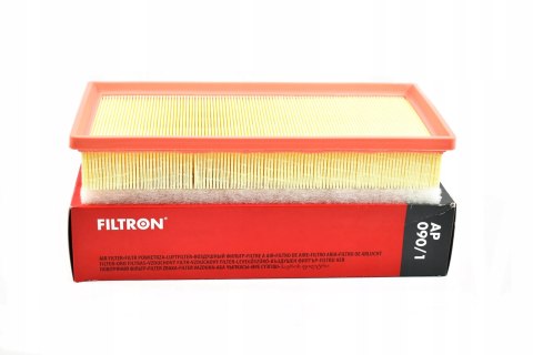 Filtron AP 090/1 Filtr powietrza