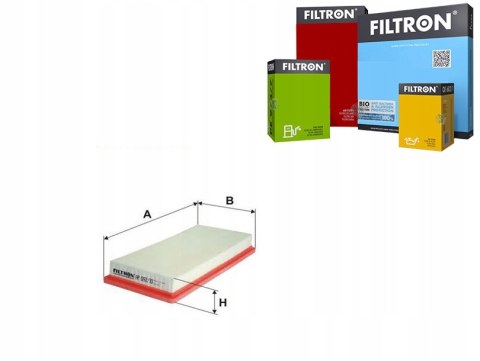 Filtron AP 092/10 Filtr powietrza
