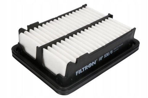 Filtron AP 106/6 Filtr powietrza