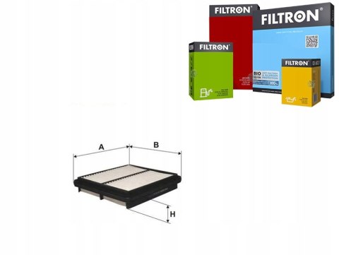 Filtron AP 082/1 Filtr powietrza