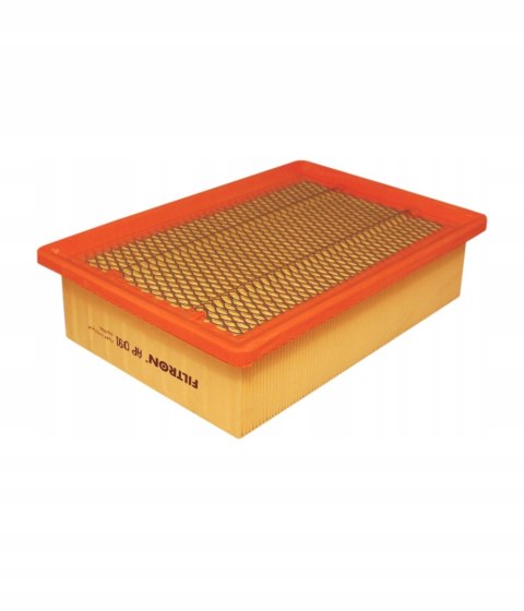 Filtron AP 091 Filtr powietrza