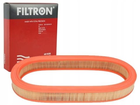 Filtron AE 250 Filtr powietrza