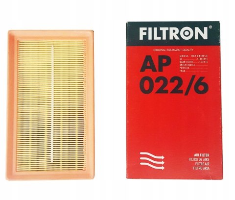 Filtron AP 022/6 Filtr powietrza