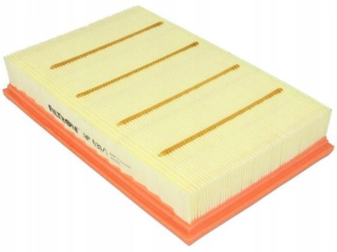 Filtron AP 031/1 Filtr powietrza