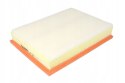 Filtron AP 065 Filtr powietrza