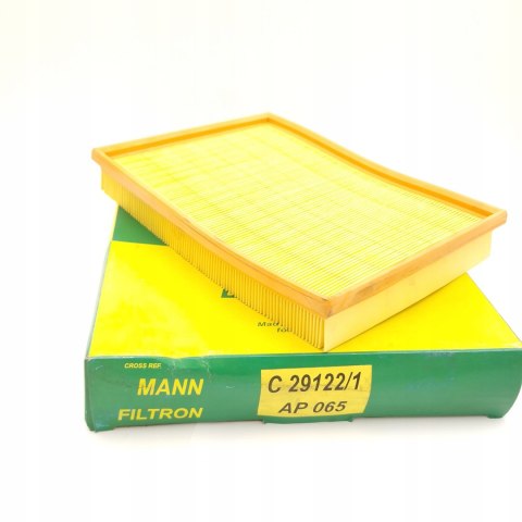 Filtron AP 065 Filtr powietrza